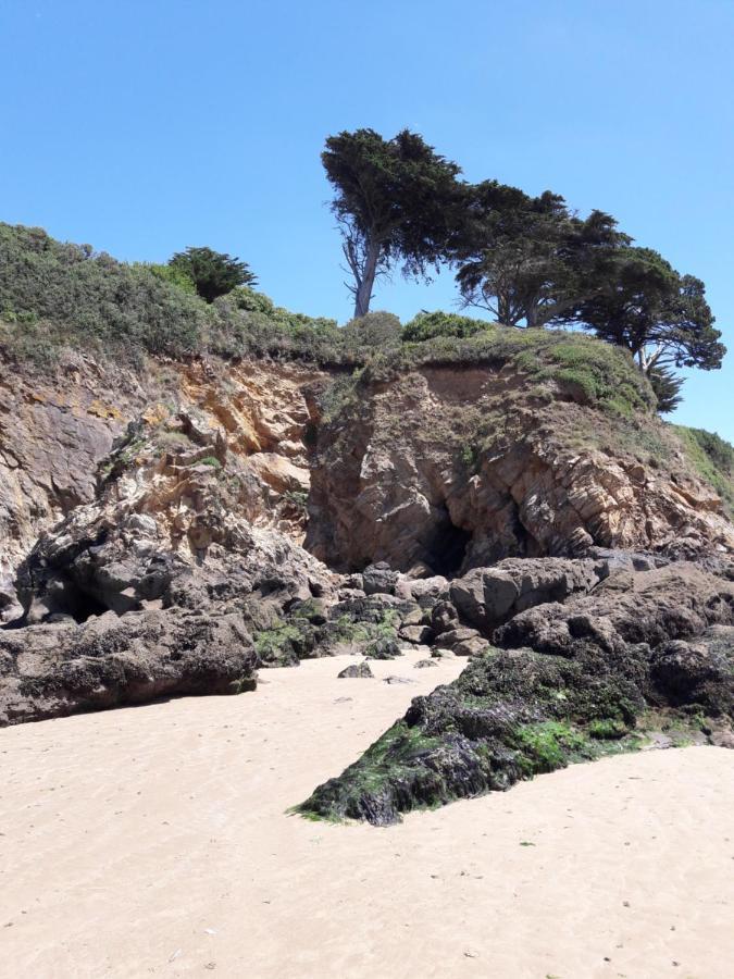 Le Studio Du Ris Douarnenez Bagian luar foto